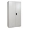 2 Door Metallic Cabinet