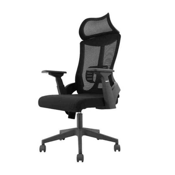 Ergonomic Office Chair, High-Back Mesh Desk Chair Orthopedic Swivel Chair.