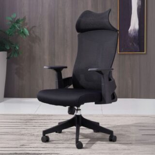 2-Door filing office cabinet, 2-way office workstation, captain mesh office seat, executive visitors seat