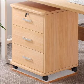 Wooden filling cabinet, foldable seat, reception desk, study desk, coat hanger, waiting bench, workstation