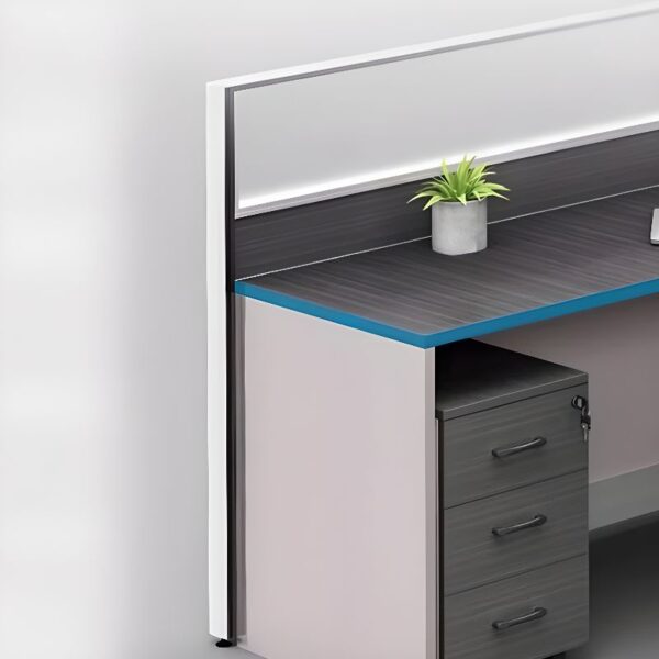 orthopedic seat, workstations, filling cabinet, folding seat, reception desk, waiting sofa, study desk, Eames seat, Advanced desk, conference seat