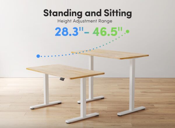 orthopedic seat, workstations, filling cabinet, folding seat, reception desk, waiting sofa, study desk, Eames seat, Advanced desk, conference seat