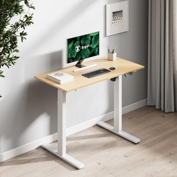orthopedic seat, workstations, filling cabinet, folding seat, reception desk, waiting sofa, study desk, Eames seat, Advanced desk, conference seat