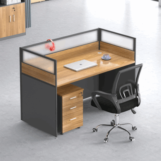 orthopedic seat, workstations, filling cabinet, folding seat, reception desk, waiting sofa, study desk, Eames seat, Advanced desk, conference seat