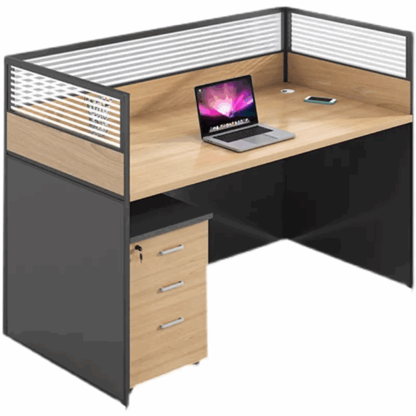 orthopedic seat, workstations, filling cabinet, folding seat, reception desk, waiting sofa, study desk, Eames seat, Advanced desk, conference seat