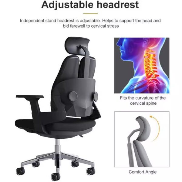 executive desk, safe, waiting sofa, secretarial seat, orthopedic seat, advanced desk