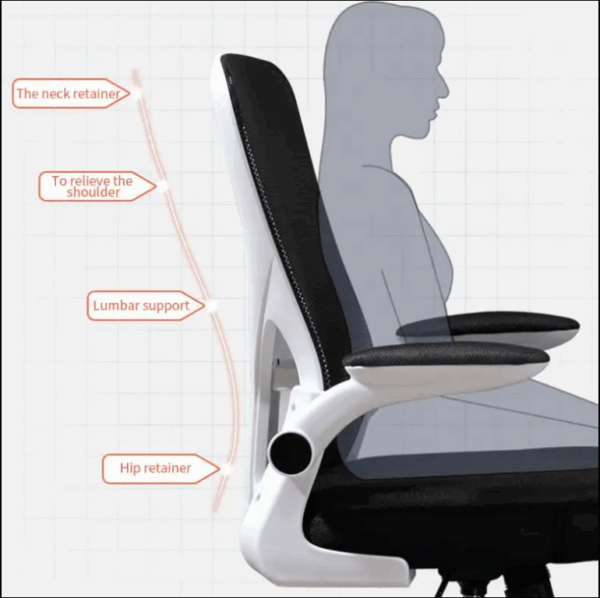 coat hanger, ergonomic seat, reception desk, coffee table, Eames table, workstation, conference seat, credenza, safe, wooden cabinet, strong mesh seat, ergonomic seat