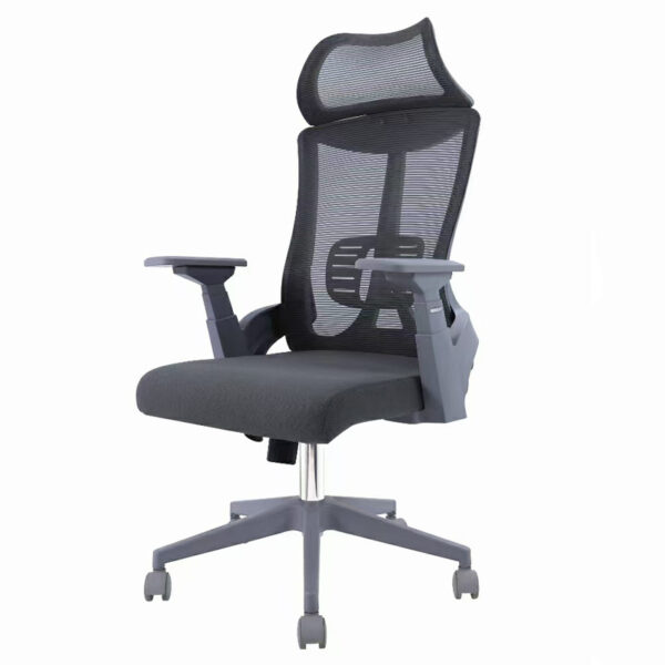 low back seat, conference seat, filling cabinet, credenza, workstation, waiting sofa, pedestal, visitor, safe, banquet