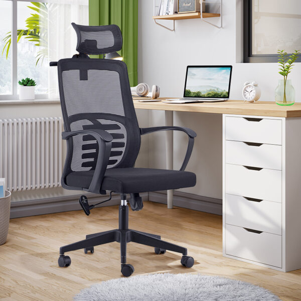 ergonomic seat, mesh seat, workstation, office seat, credenza, boardroom table, executive seat, safe, metallic cabinet, coat hanger, conference seat