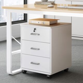 metallic cabinet, reception desk, coat hanger, ergonomic seat, waiting sofa, safe, coffee table, office desk, advanced desk, pedestal, credenza, Eames seat, boardroom table, filling cabinet