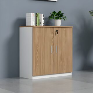 Orthopedic seats, Workstations,Advancedv desk, Boardroom table,Filling cabinets, Folderble desks