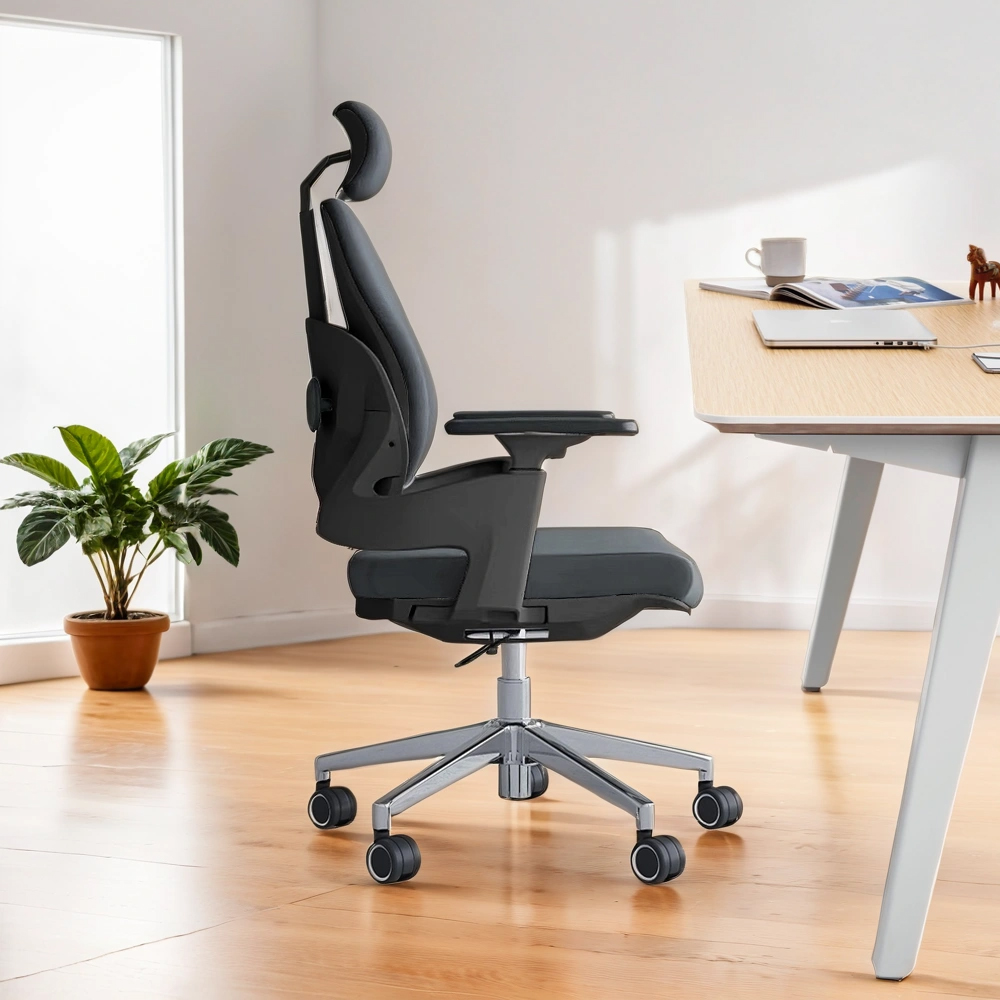 Dining Seat, Coffee Table, Workstation, Directors Seat, Conference Table