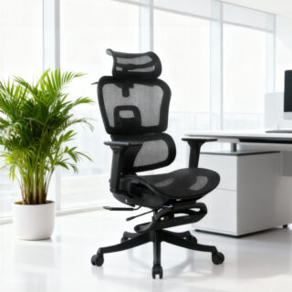 Orthopedic seats, Workstations,Advancedv desk, Boardroom table,Filling cabinets, Folderble desks