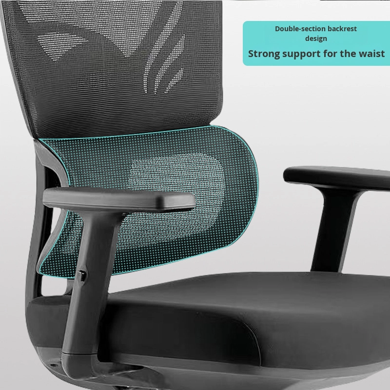 Orthopedic seats, Workstations,Advancedv desk, Boardroom table,Filling cabinets, Folderble desks