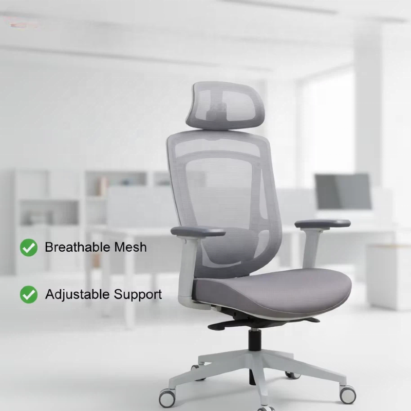 Dining Seat, Coffee Table, Workstation, Directors Seat, Conference Table