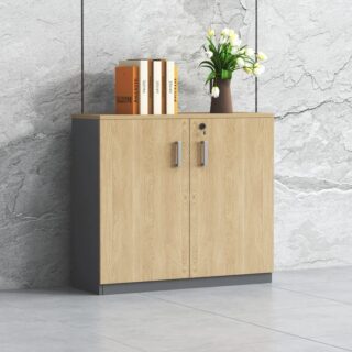 Filing Cabinets, Boardroom Table, Electric Dess. Foldable Desk, Advanced Desk, Reception Desk, Executive Chairs, orthopedic Chairs, Coat Hangers