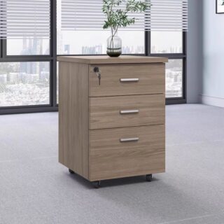 Filing Cabinets, Boardroom Table, Electric Dess. Foldable Desk, Advanced Desk, Reception Desk, Executive Chairs, orthopedic Chairs, Coat Hangers